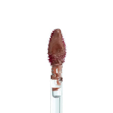 Carregar imagem no visualizador da galeria, Lip Fix Glossy Tint - Rosy Brown

